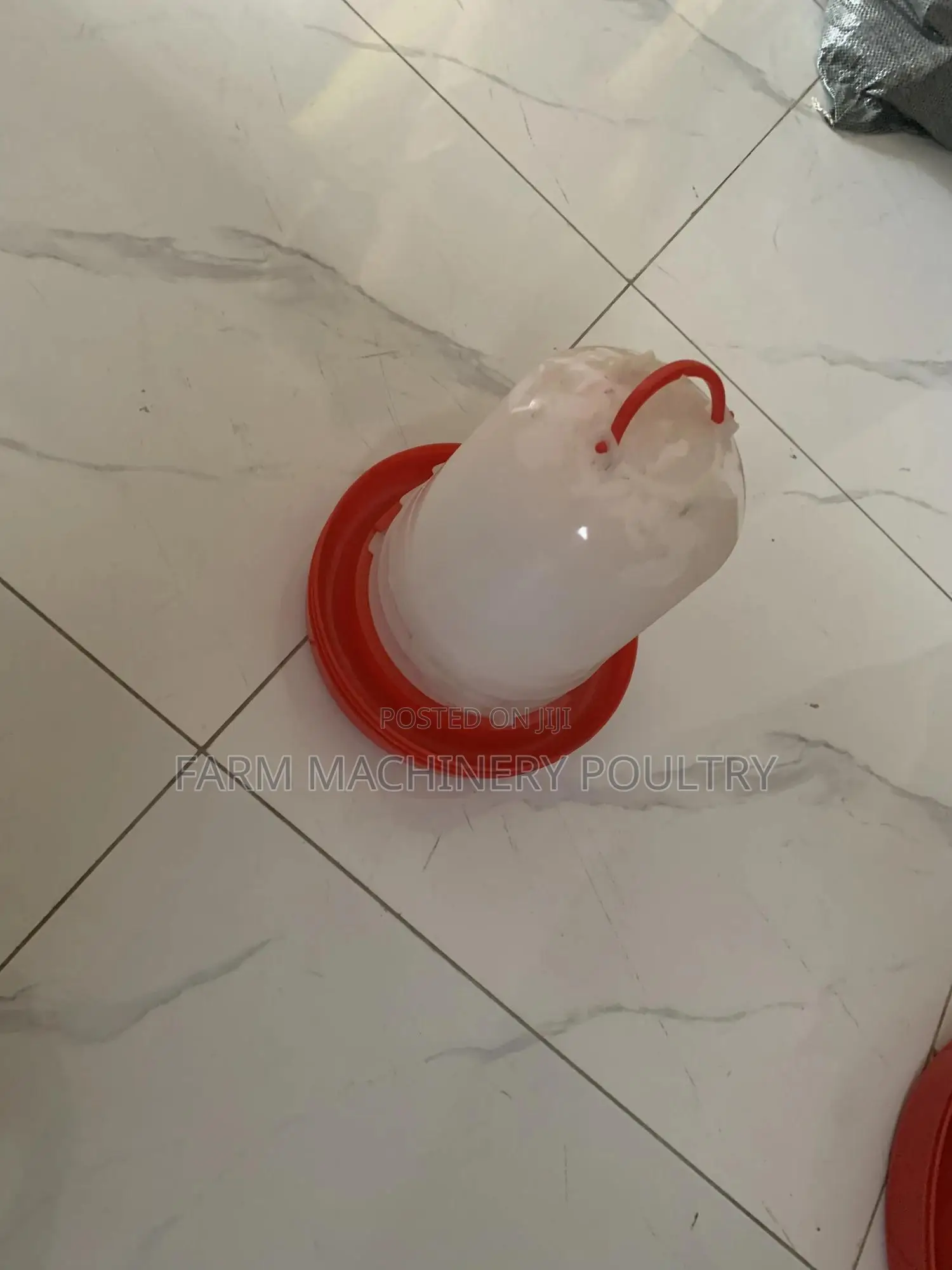 Drinker (Small Size)