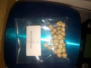 Herb for Glaucoma, Conjunctivitis, Cataract and Blurry Eyes