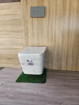 Hhigh Quality Wall Hung Water Closet.