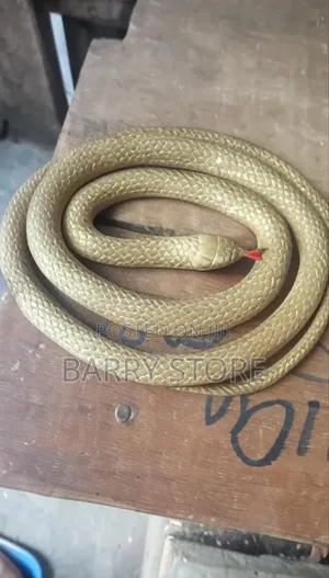 Snake Props 1