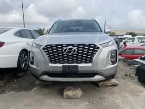 Hyundai Palisade 2021 Gray