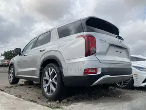 Hyundai Palisade 2021 Gray