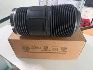 Porsche Panemera 971 Back Balloon
