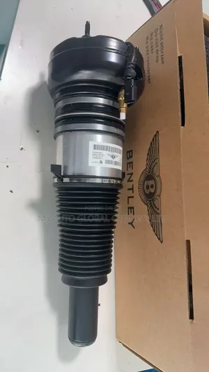 Bentley Muslenne Front Shock