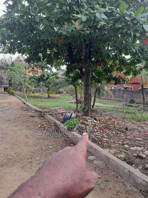 Dry Land at Ijegun Interclked 600sqm Gated Street