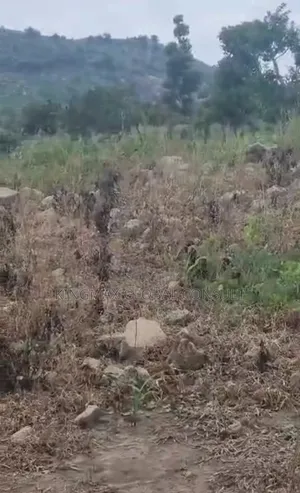 Land for Sale at Maitama Main : 2,345.05sqm