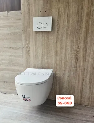England High Quality Wall Hung Conceal Water Closet
