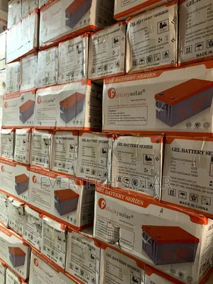 200 Ahms Felicity Dry Cell Battery 🔋