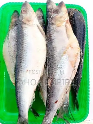 Shawa/Sardine Fish - 1kg