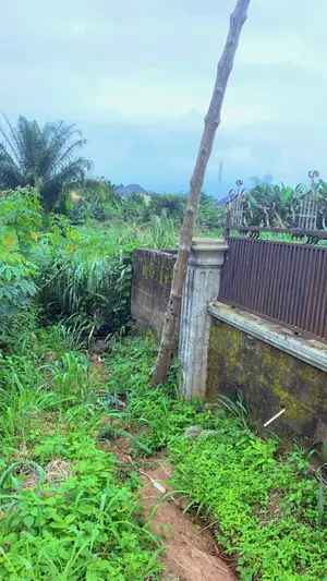 Distress Sales 1,789.45 SQM of Land(3 Plots ) Location: Oke-Odu