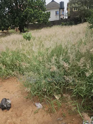 Rresidential Land at Off Ologuneru Ibadan