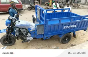 New Tricycle 2025 Blue