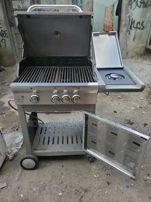 Proficook Gas and Charcoal BBQ With Side Stove