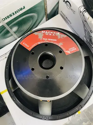 6000 Watts Double Magnet 18 Inches Naked Speakers