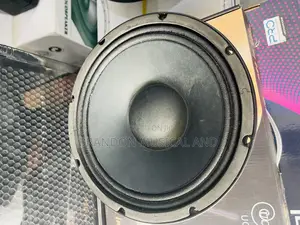 800 Watts Big Magnet Mackkie 10 Inches Naked Speaker