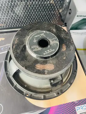 800 Watts Big Magnet Mackkie 10 Inches Naked Speaker