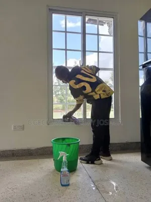 Professional House Office Cleaning Services