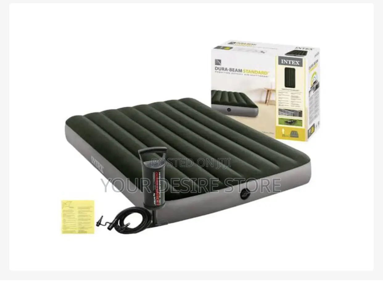 Intex 2-Person Inflatable Air Mattress Wit Pump