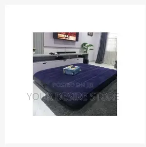 Intex Inflatable Air Mattress for 2 People 4 by 6 Blue