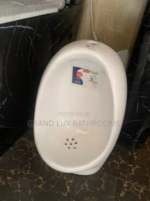 Luxury Wall-Mounted Ceramic Urinal