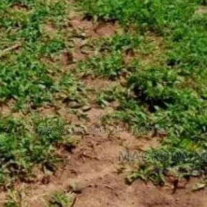 Land Available for Sale