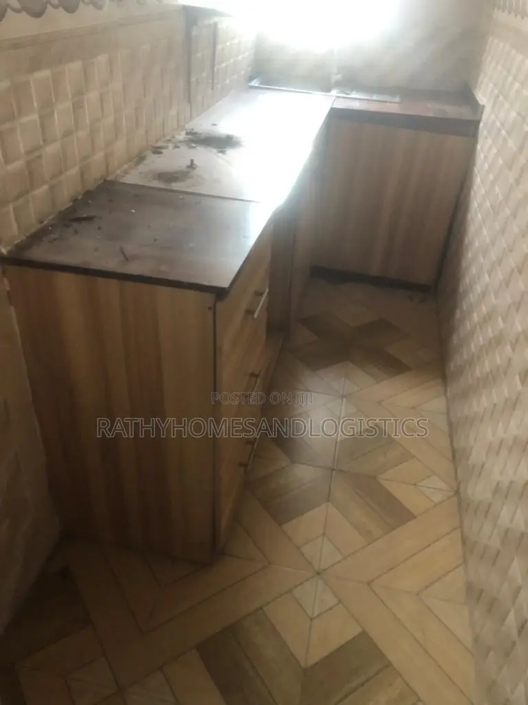 Professional Kitchen Cabinet Kitchen