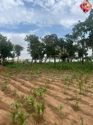 Plot of Land at Obawole Ogba