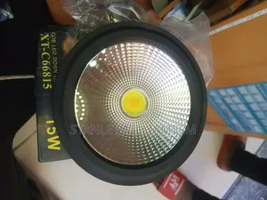 15watt Cob Down Light Double Color