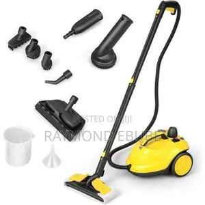 Robayse Steam Cleaner