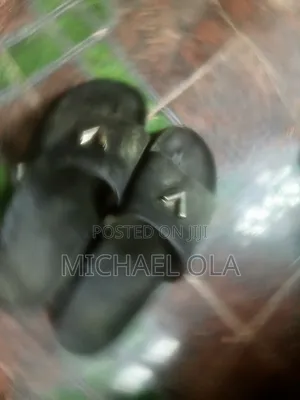 Photo - Leather Slippers