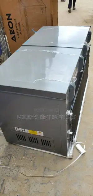 Aeon Double Door Freezer