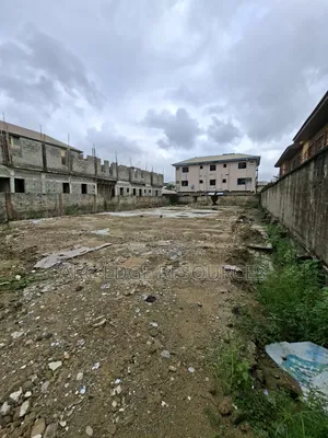 Dry Full Plot of Land in an Estate