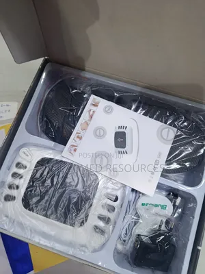 Electronic Pulse Massager