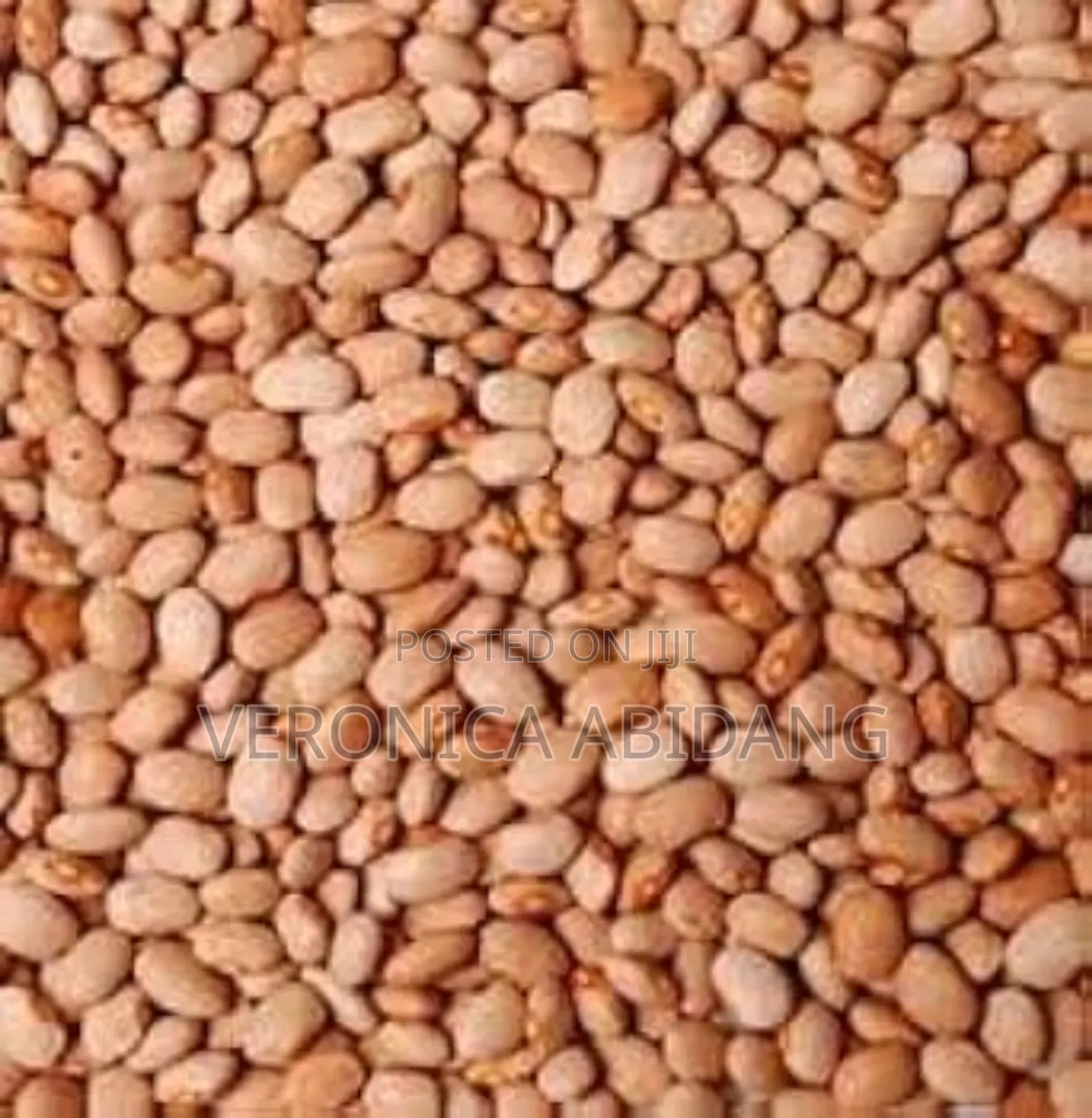 Clean Dried Beans Flour