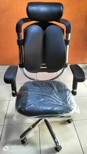 Director Chair