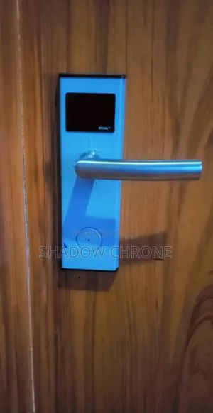 Luxury Stainless Steel Card Access Door Lock