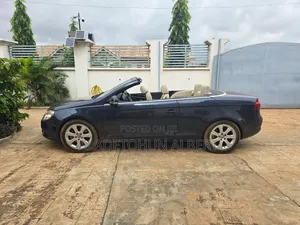 Volkswagen Eos 2008 Blue