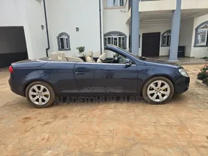 Volkswagen Eos 2008 Blue