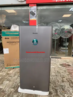 Hisense Standing Fridge Ref 20silver