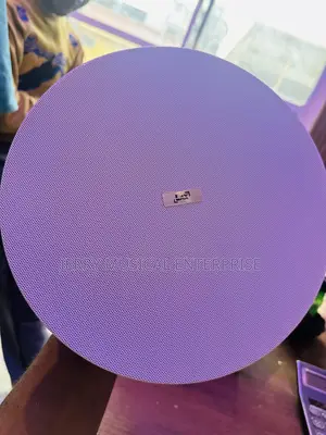 Ceiling Speakers With Woofer