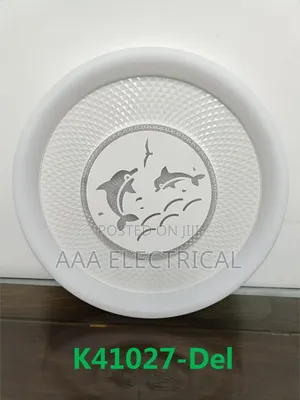 Ceiling Fitting