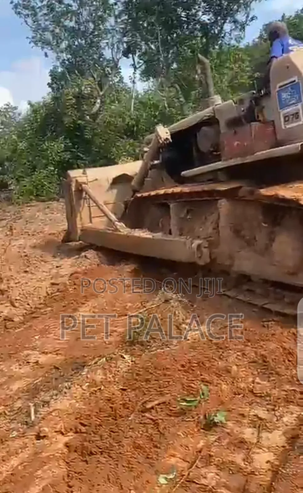 Caterpillar