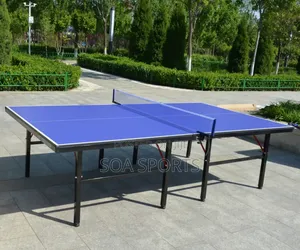 Table Tennis Board SMC Outdoor Giant Rock