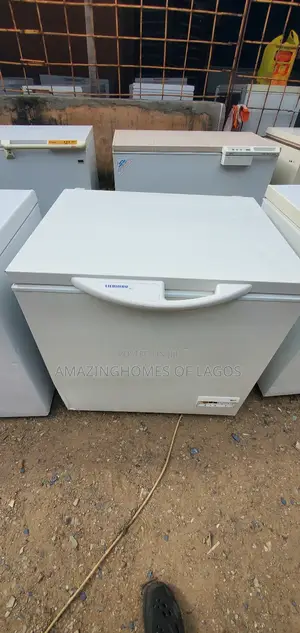206l Liebherr Deep Freezer Direct Tokunbo