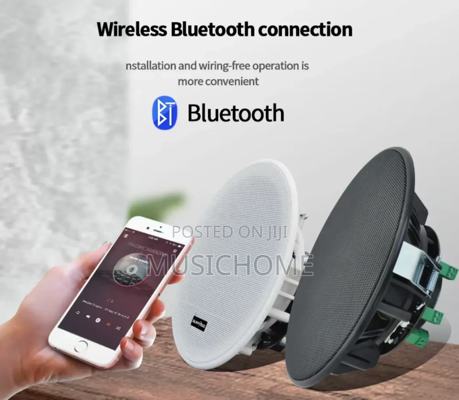 Black And White Ceiling Speaker Available