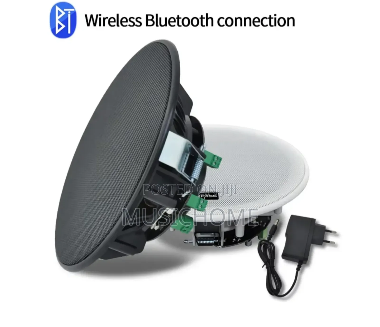 Black And White Ceiling Speaker Available