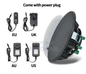 Black And White Ceiling Speaker Available