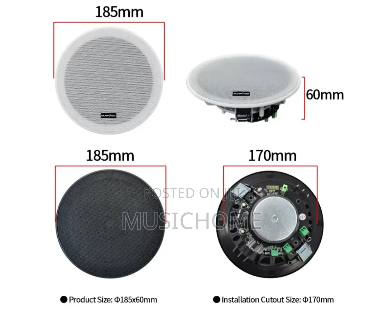 Black And White Ceiling Speaker Available