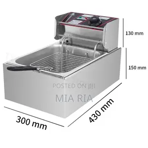 Single Deep Fryer