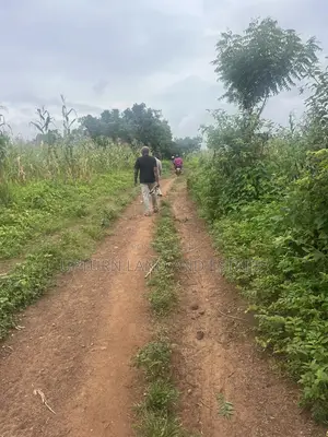 Uprooted Land for Sale in a Secure Location Okaka Town